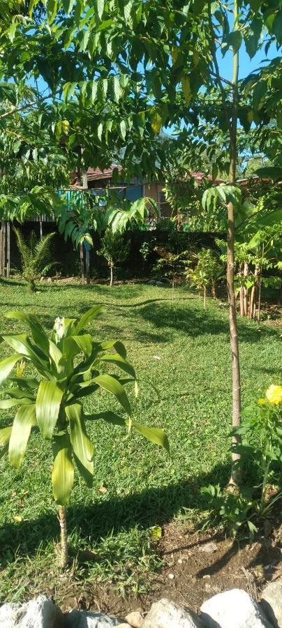 Karleta Homestay Рутенг Екстериор снимка